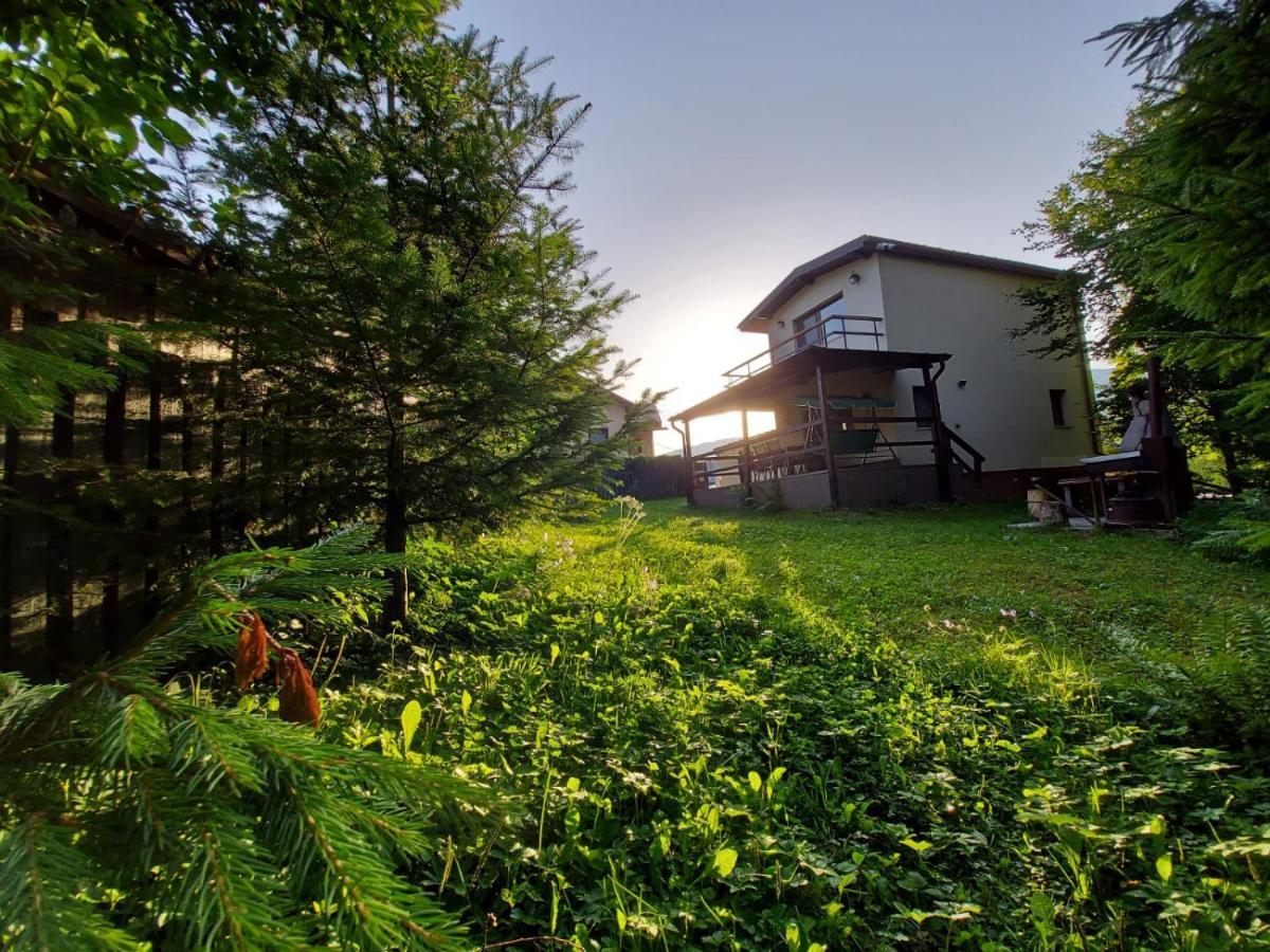 C House Villa Buşteni Dış mekan fotoğraf